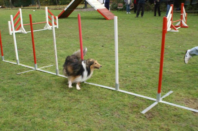 agility 2011-10-30